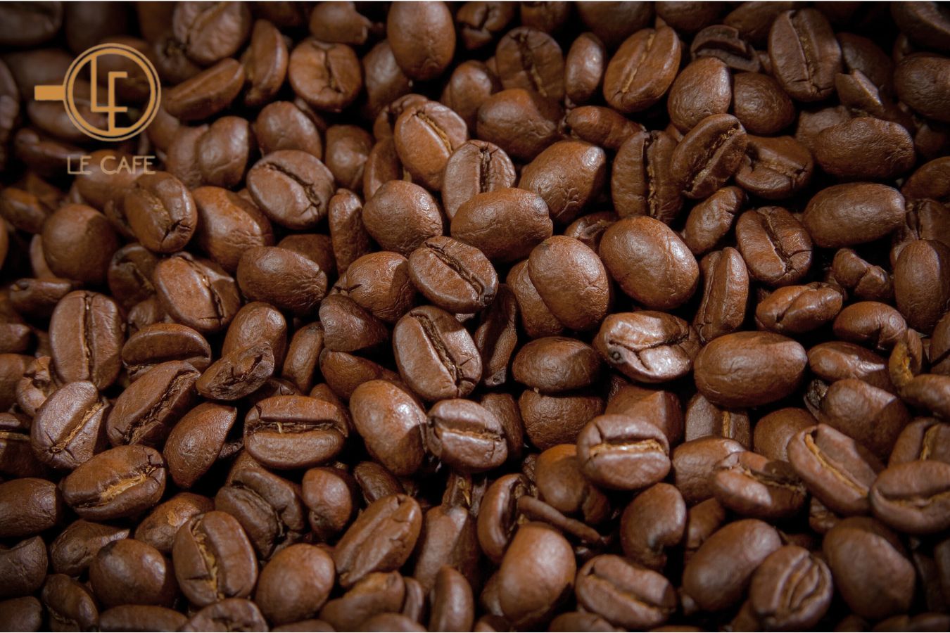 Độ ẩm trong cà phê – Những điều cần lưu ý và cách bảo quản